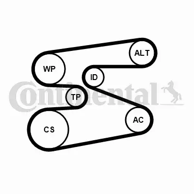 CONTINENTAL CTAM ZESTAW PASEK+NAPINACZ 6PK1698K1 