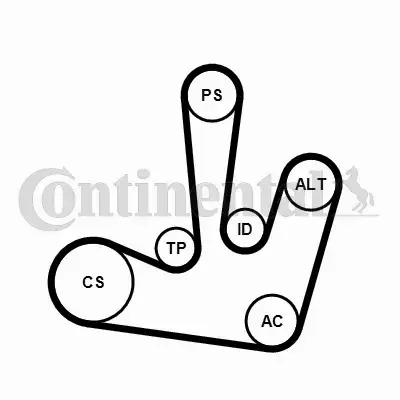 CONTINENTAL CTAM ZESTAW PASKA KLINOWEGO 6PK1795K1 