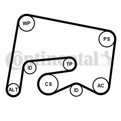 CONTINENTAL CTAM ZESTAW PASKA KLINOWEGO 6PK2155K1 