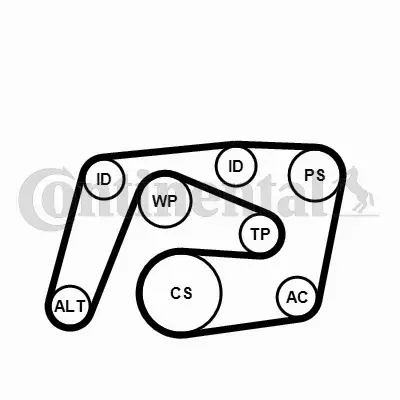 CONTINENTAL CTAM ZESTAW PASKA KLINOWEGO 6PK2260K1 