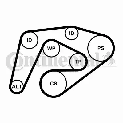 CONTINENTAL CTAM ZESTAW PASEK+NAPINACZ 6PK2260K3 