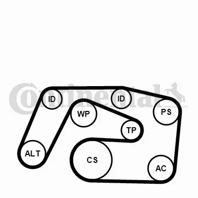 CONTINENTAL CTAM ZESTAW PASKA KLINOWEGO 6PK2271K1 