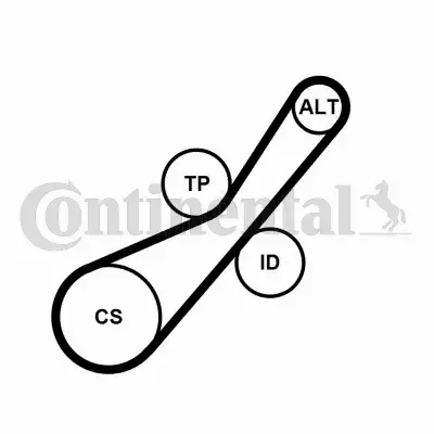 CONTINENTAL CTAM ZESTAW PASEK+NAPINACZ 6PK800K2 