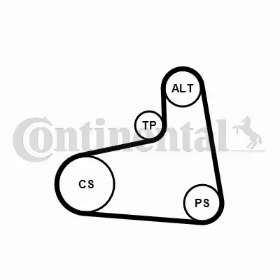 CONTINENTAL ZESTAW PASKA WIELOROWKOWEGO 6PK906K1 