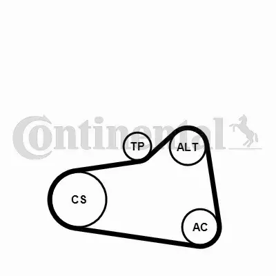 CONTINENTAL CTAM ZESTAW PASKA KLINOWEGO 6PK905 EXTRA WP1 