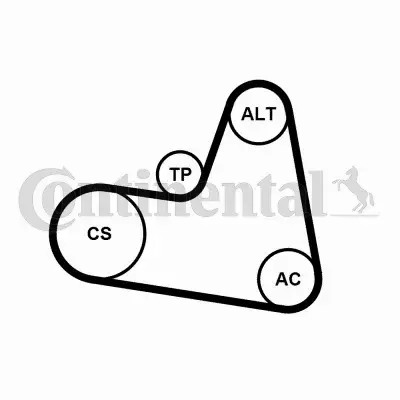 CONTINENTAL ZESTAW PASKA WIELOROWKOWEGO 6PK962K1 