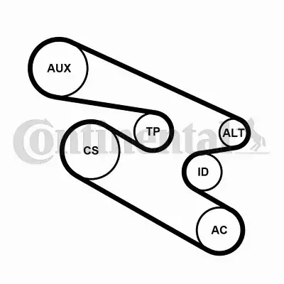 CONTINENTAL CTAM ZESTAW PASEK+NAPINACZ 7PK1104K1 