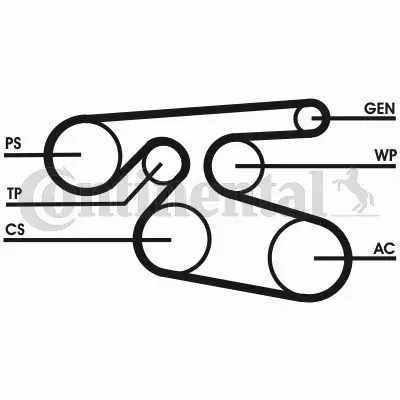 CONTI PASEK WIELOKLINOWY 7PK2000 AVENSIS T25 D4D 