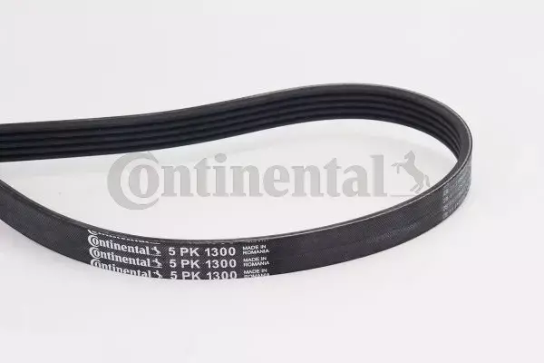 CONTINENTAL CTAM PASEK WIELOROWKOWY 5PK1300 