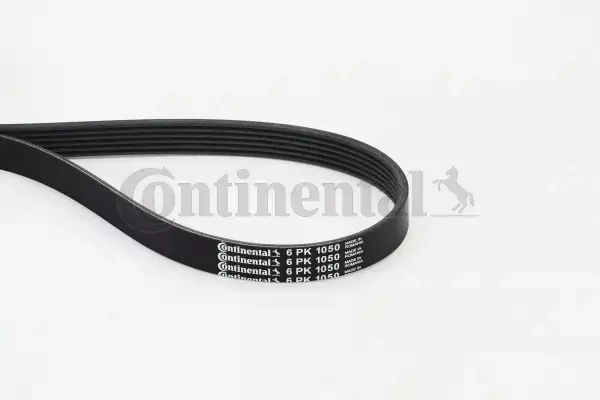 CONTINENTAL CTAM PASEK WIELOROWKOWY 6PK1050 