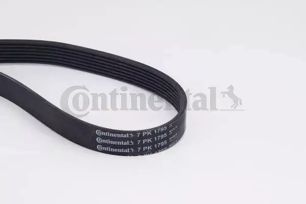 CONTINENTAL CTAM ZESTAW PASKA KLINOWEGO 7PK1795K1 