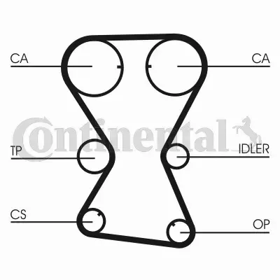 CONTINENTAL CTAM PASEK WIELOROWKOWY CT1000 