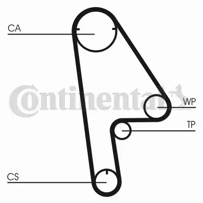 CONTINENTAL CTAM PASEK WIELOROWKOWY CT1001 