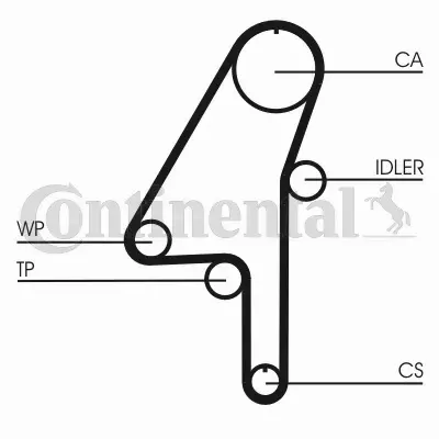 CONTINENTAL CTAM PASEK WIELOROWKOWY CT1010 