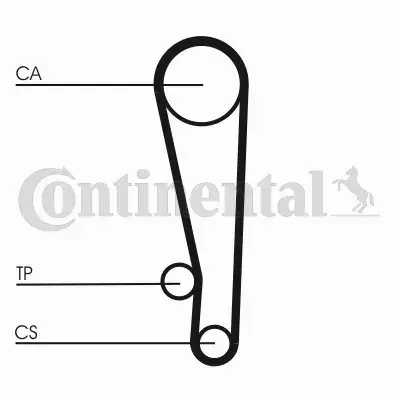 CONTINENTAL CTAM PASEK ROZRZĄDU CT1013 