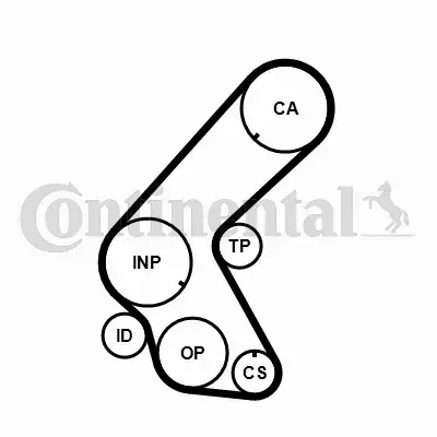 CONTINENTAL CTAM PASEK WIELOROWKOWY CT1014 