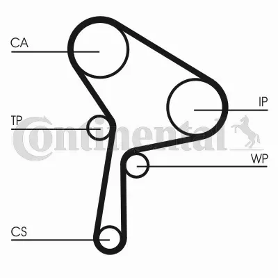 CONTINENTAL CTAM PASEK WIELOROWKOWY CT1025 