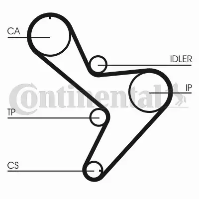 CONTINENTAL CTAM PASEK WIELOROWKOWY CT1034 