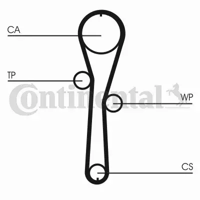 CONTINENTAL CTAM PASEK WIELOROWKOWY CT1045 