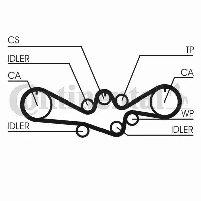 CONTINENTAL CTAM PASEK WIELOROWKOWY CT1050 