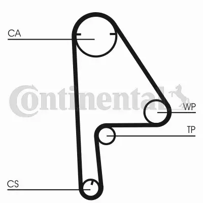 CONTINENTAL CTAM PASEK ROZRZĄDU CT1081 