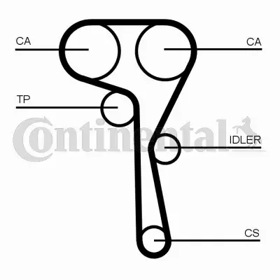 CONTINENTAL ROZRZĄD+POMPA WODY CT1167WP2PRO 