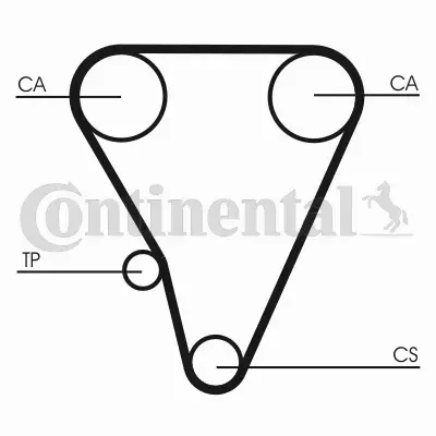 CONTINENTAL CTAM PASEK ROZRZĄDU CT555 