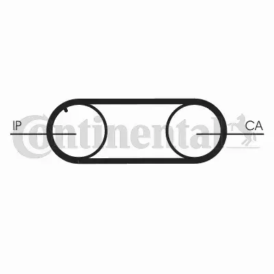 CONTINENTAL CTAM PASEK ROZRZĄDU CT645 