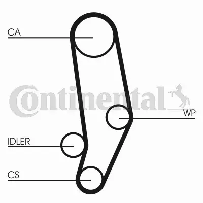 CONTINENTAL CTAM ZESTAW ROZRZĄDU CT704WP1 