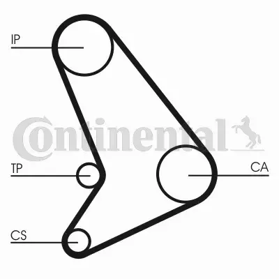 CONTINENTAL CTAM PASEK WIELOROWKOWY CT1054 