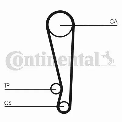 CONTINENTAL CTAM PASEK WIELOROWKOWY CT1024 