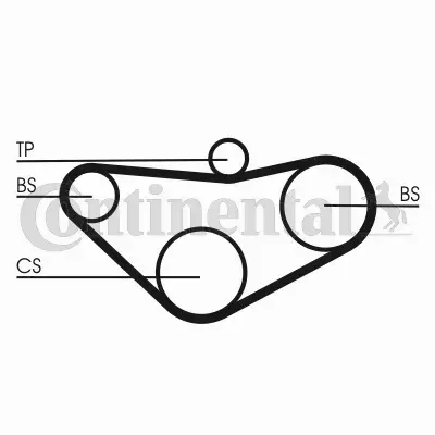 CONTINENTAL CTAM PASEK ROZRZĄDU CT800 