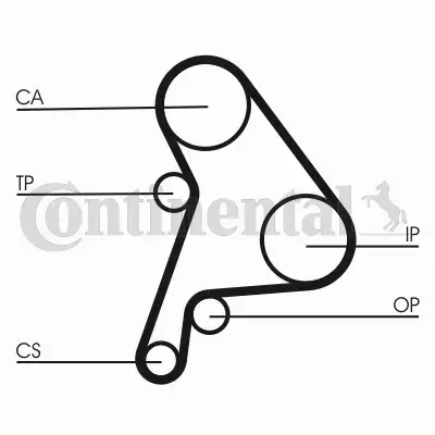 CONTINENTAL CTAM PASEK WIELOROWKOWY CT1012 