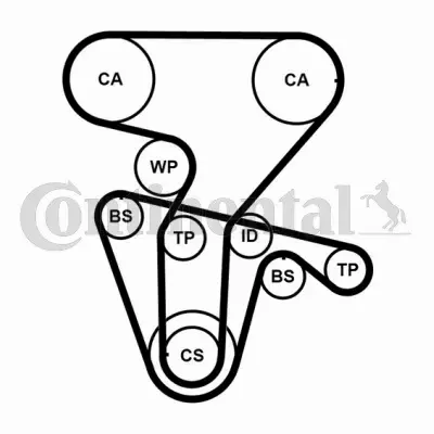 CONTINENTAL CTAM ZESTAW ROZRZĄDU CT877WP3PRO 