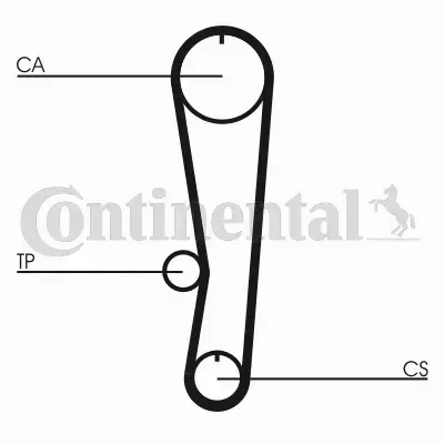 CONTINENTAL CTAM PASEK ROZRZĄDU CT895 