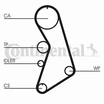 CONTINENTAL CTAM ZESTAW ROZRZĄDU CT909WP5 