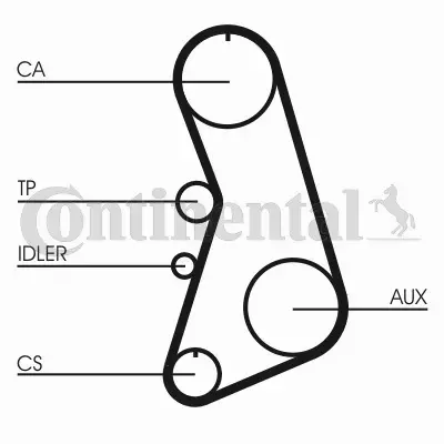 CONTI ZESTAW PASKA ROZRZĄDU  CT919K2 