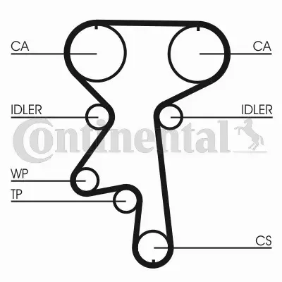 CONTINENTAL CTAM ZESTAW ROZRZĄDU CT924WP1 