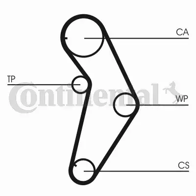 CONTI ZESTAW PASKA ROZRZĄDU  CT927K1 