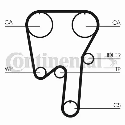 CONTI PASEK ROZRZĄDU CT979 