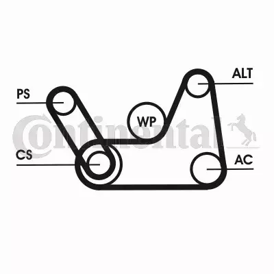 CONTINENTAL CTAM PASEK KLINOWY 6PK1019 ELAST T1 