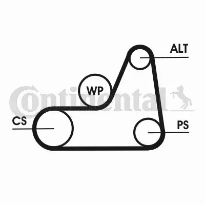 CONTINENTAL CTAM PASEK WIELOROWKOWY 6PK1042 ELAST 