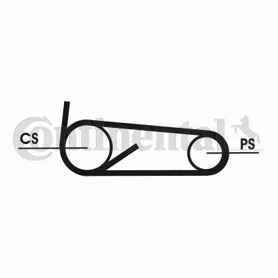 CONTINENTAL CTAM PASEK KLINOWY 4PK922 ELAST T1 