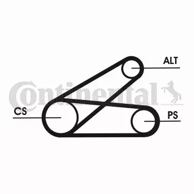 CONTINENTAL CTAM PASEK KLINOWY 6PK873 ELAST T1 