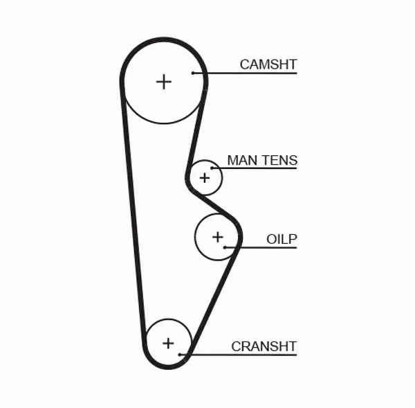 GATES PASEK ROZRZĄDU 5082XS 