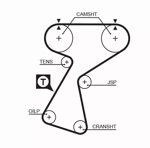 GATES PASEK ROZRZĄDU 5244XS 