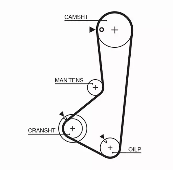 GATES PASEK ROZRZĄDU 5256XS 