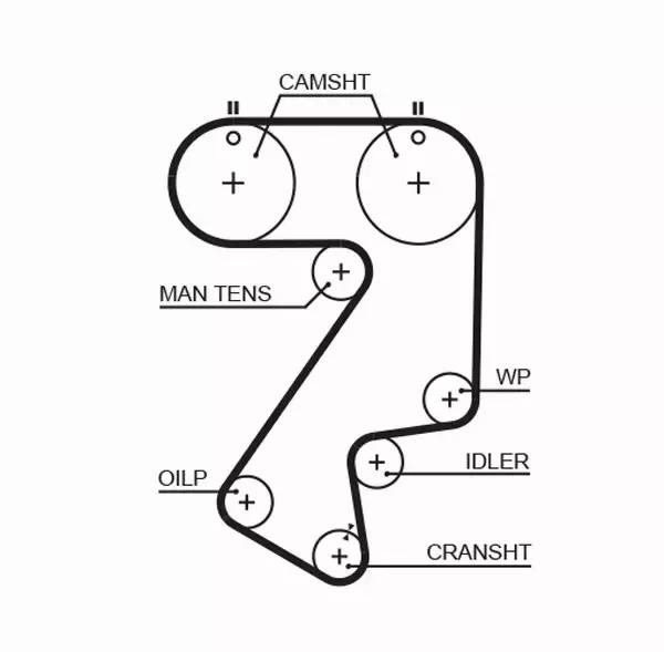 GATES PASEK ROZRZĄDU 5404XS 