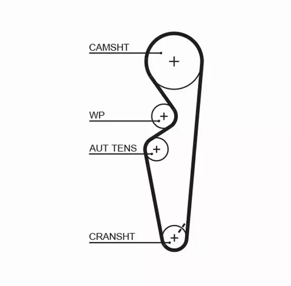 GATES PASEK ROZRZĄDU 5431XS 