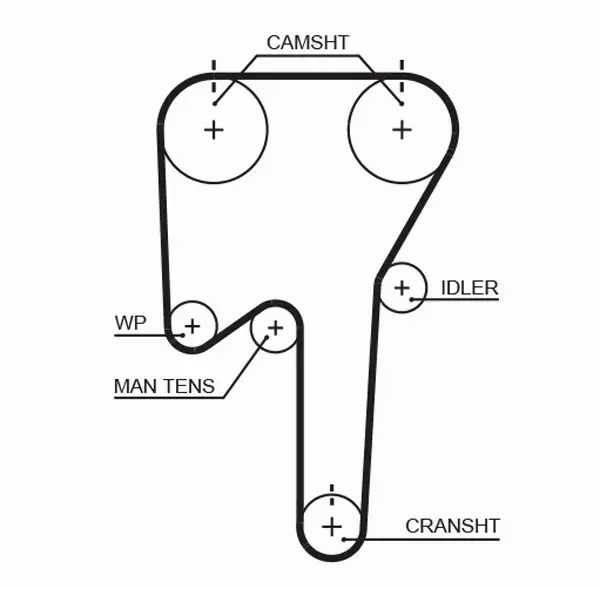 GATES PASEK ROZRZĄDU 5553XS 